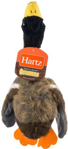 Hartz 05445 At Play Quackers Dog Toy Assorted Styles