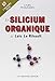 Le Silicium organique de Loïc Le Ribault by