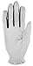 Puma Golf 2017 Men's Sport Performance Glove (White/Black, Medium, Right Hand)