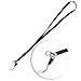 Wisdompro 10 Pack 22 inch Polyester Neck Lanyard with Detachable Buckle, String Loop and Metal Clasp for Keys, ID Badges, Phones, USB Flash Drives, Cruise Ship Cards - Black