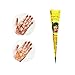 Temporary Tattoo Stencils Kits/Temporary Brown Red Tattoo Paste Cones for Body Art Drawing Painting with 2 x Applicator Bottle,16 x Needles and 48 x Adhesive Stencil Set
