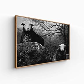 Canvas Wall Art for Living Room, Bedroom Scenery Framed Canvas Prints for Home Decoration Ready to Hang - 16x24 inches