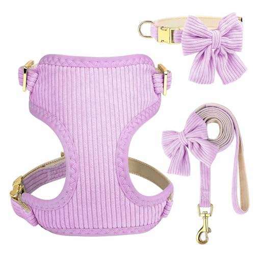 Didog Dog Harness and Leash Set