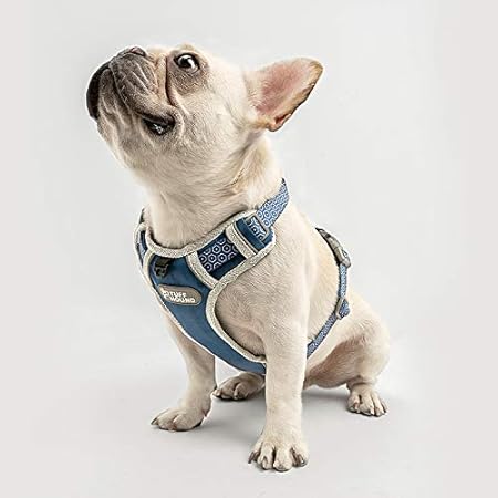 unchewable dog harness