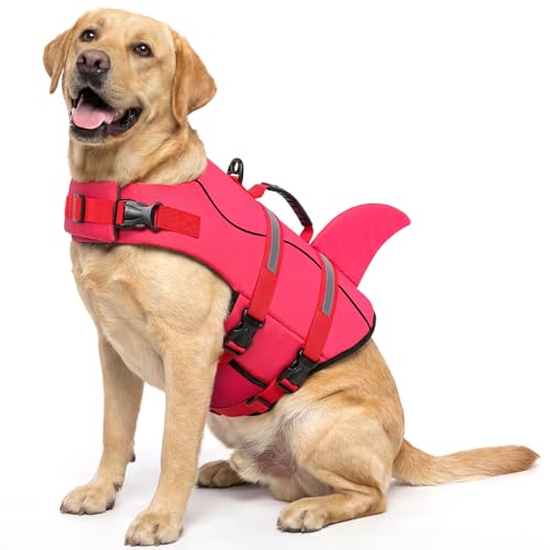 Queenmore Dog Life Jacket