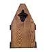 Wooden Beer Caddy Holder - Handcrafted Wood Bottle Carrier with Opener Holds a 6 Pack - Made of Pine with a Clear Varnish