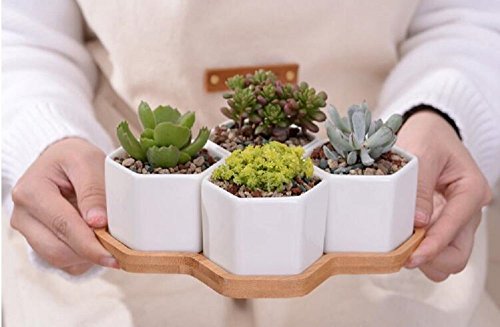 Ceramic Flower Pot,Y&M(TM) Pack of 7 White Simple Design Sucuulent Plant Pot/Cactus Plant Pot Flower Pot with Bamboo Tray/Container/Planter(Pack of 7 )