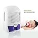 amzdeal Dehumidifier for 323 Sq Ft Home Basement Bedroom Small Dehumidifier with 50 oz Water Tank Auto Off to Remove Damp and Mold