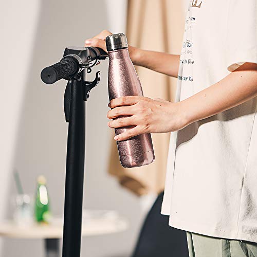 Water Bottle Stainless Steel Vacuum Insulated Double Walled Cola Shape Thermoses (Rose Gold-4)
