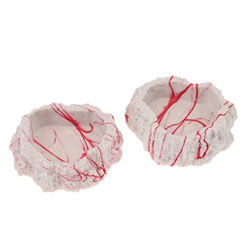 image for D DOLITY 2x Resin Amphibians Reptile Feeding Rock Bowl Water Drinking 