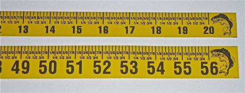 Big-Fish-Adhesive-Backed-Rules–20-Inch-Long-and-56-Inch-Long–Left-to-Right Big-Fish-Adhesive-Backed-Rules–20-Inch-Long-and-56-Inch-Long–Left-to-Right