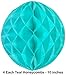 20 pcs Hanging Paper Party Decoration Supplies Kit in Orange, Pink, Purple, Teal, and Glitter Gold-Includes 4 Lanterns, 4 Pom Pom Flowers, 4 Tissue Fans, 4 Honeycombs, and 4 Strings of Dot Garland