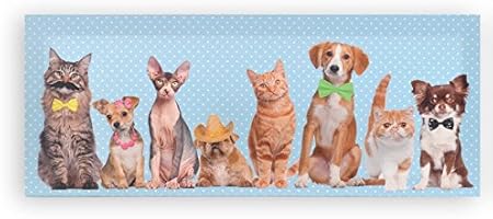 Avenuelafayette Cadre Toile Tableau Chien Et Chat Humour Humoristique 50 X Cm M1 Amazon Fr Jeux Et Jouets