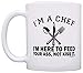 ThisWear I'm a Chef Here to Feed Ass Not Kiss It Chef Gag Gift 11oz Ceramic Coffee Mug with Handle