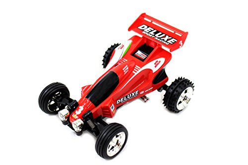 Mini RC Kart Rider / RC Mini Car (Colors Vary)