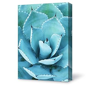 Canvas Wall Art Plant Succulents Plant Office Canvas Painting Wall Poster Decor for Living Room Wooden Framed Home Decorations - 12x18 inches