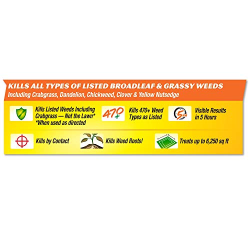 Spectracide Weed Stop Concentrate - Image 8