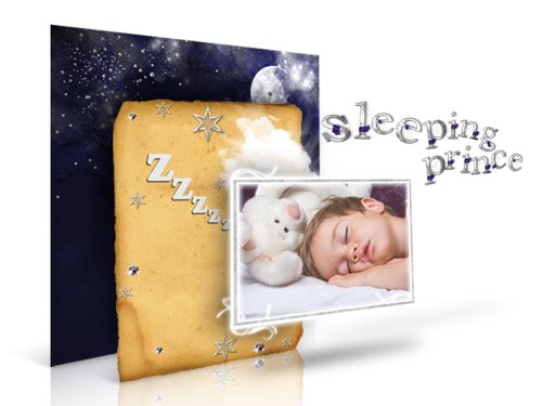 Digital Scrapbook Artist 2 (PC CD)