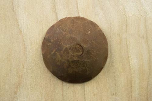 10 Pack Door Clavos Decorative Nails 1.5" Rustic Hammered Iron Various Finishes Available