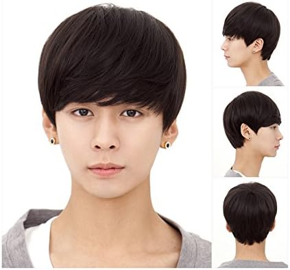 Tomorrow Lover® Handsome Sunshine Boys' Short Straight Layers Natural Hair /Daily Wigs Wig + Free Wig Cap (light brown)