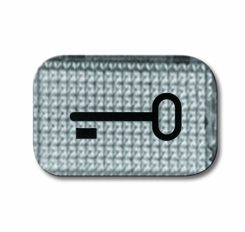 Busch-Jaeger BUSC Symbol 2145 TR Door