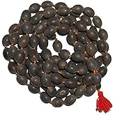 Abacus India Original Kamal Gatta Japa Mala | Natural 108 Beads Lotus Seed Mala | Laxmi Pooja Mala | Meditation | Spiritual Practices(Kamal gatta Mala)(Lotus Seeds)