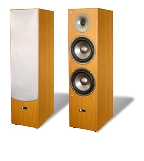 pure acoustics 5.1 speakers price