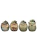 YLINGSU 2.5 Inch Owl Succulent Plants Pots Ceramic Set, Cactus Plant Pot,Mini Flower Pot, with A Hole Perfect owl Gifts (6 Pack)