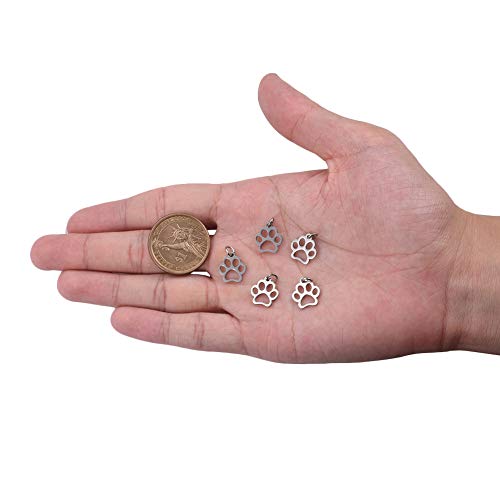 DanLingJewelry 304 Stainless Steel Dog Paw Print Charm Doggy Cat Animal Footprint Pendant for DIY Crafting Bracelet Necklace Jewelry Findings(Stainless Steel Color-10pcs,13 x 12 x 1mm Hole: 4mm)