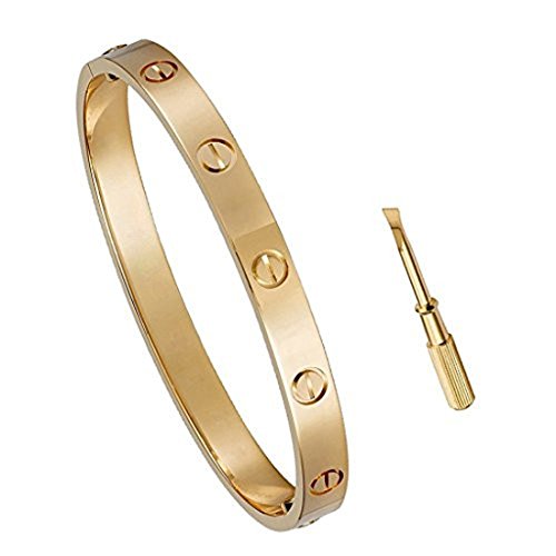Stainless Steel LOVE Screw Head Bangle Bracelet for Women Oval Rose
