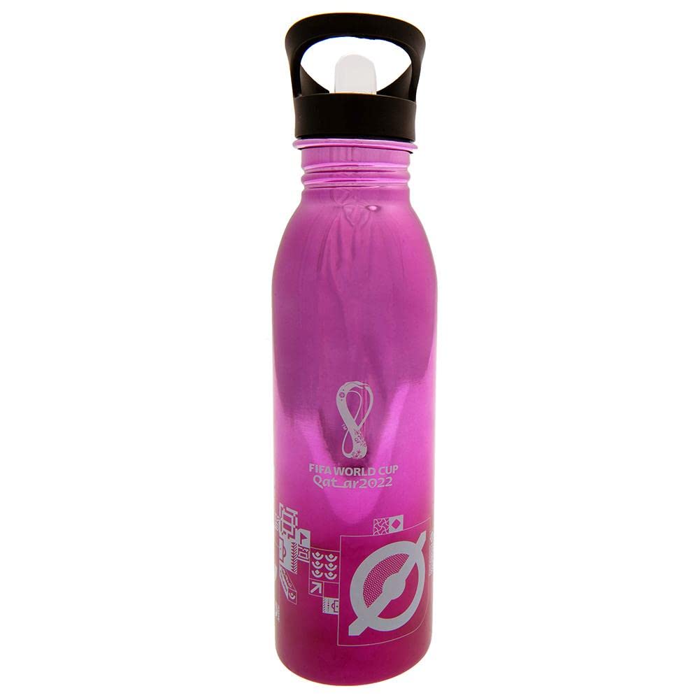 FIFA 2022 Qatar World Cup 700ml Stainless Steel UV Camping Bottle with straw