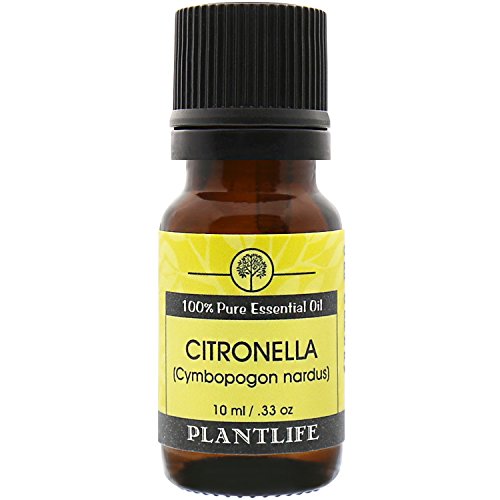 Citronella Ceylon 100% Pure Essential Oil - 10 ml