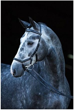 Rambo Micklem Deluxe Competition Bridle