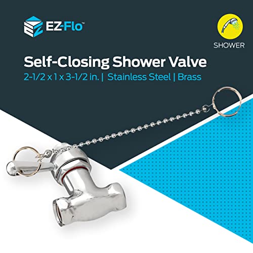 EZFLO SelfClosing Shower Valve, Chrome Plated, 10789 Pricepulse