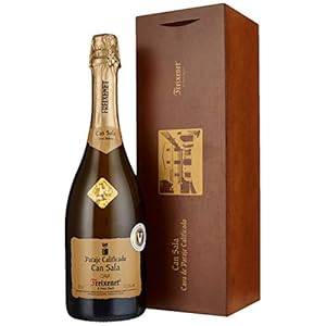 Freixenet Can Sala in Geschenkbox Cava (1 x 0.75 l)