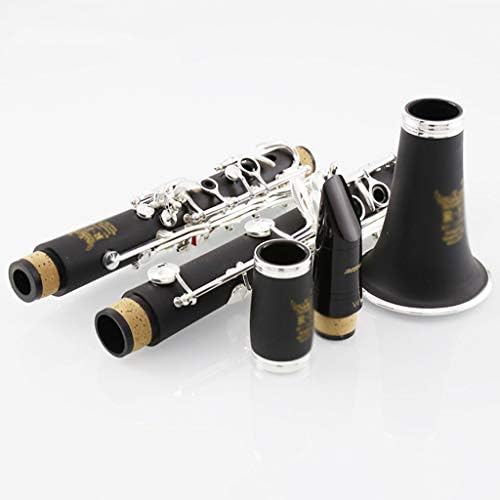 Clarinet Woodwind Bb Woodwind Musical Instruments Beginners Or Performance Gift Package Musical Instruments (Color : Hard rubber wood)