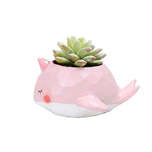 Creative Plants Pot Ceramics Flower Pot Planter Garden Bonsai Succulent Plants Desk Flower Pot, Cactus Plant Pot Flower Pot/Container (Pink)