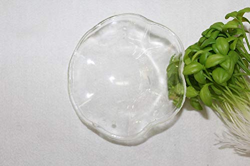 1 Piece of Clear Glass Wavy Dish Replacement Large 4''x1.2'' Plate Bowl Lid Tray for Aroma Therapy Lamp and Tart Wax Melt Warmers Electric Oil Aromatherapy Burner