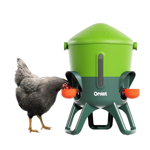 Omlet Isolierter Wasserspender für Hühner 5,5 Liter | Automatische Geflügeltränke für Hühner | Sauberes Trinkwasser | BPA-frei | Anti-Sitzkuppel | Sch