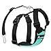 Pawaboo Dog Harness with Leash Set, X-Frame No Pull Pet Harness, Adjustable Choke Free Dog Vest Harness for Small Medium Dogs & Puppies, Breathable Puppy Vest with Leash for Walking, M, Lake Blue