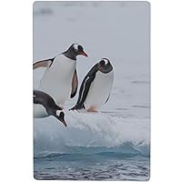 KUneh 16.5 X 28.7 Bathtub Mat Kids Gentoo Penguin Runs Over Snow Antarctica Print Non-Slip Tub Mat with Powerful Suction Cup for Kids&Elderly