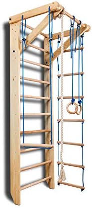 hanging rings from pull up bar