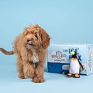 BoxDog - Monthly Dog Subscription Box with 100% Handmade Treats & 2 Dog Toys: Small Dog &