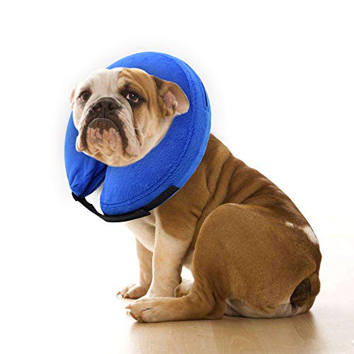 Best inflatable collar for dogs for 2018