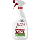 Nature's Miracle Dog Stain and Odor Remover Pour, 32 fl. oz.