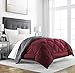 Sleep Restoration Full/Queen Comforter - Reversible Bed Duvet Insert - Thick, Warm, Fluffy Down Comforter Alternative - Hotel Quality Bedding Comforters - Burgundy/Grey