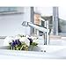Grohe Eurodisc Single-Handle Pull-Out Kitchen Faucet