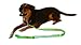 Lucky Day Pets LED Dog Leash Waterproof Nylon Webbing with Reflective Strips, 4 Feet Long, Green