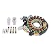 Stator For Yamaha YFB 250 Timberwolf YFM 250 Bear Tracker 1994-2000