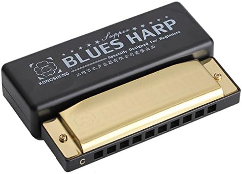 BCOCOB Harmonica Key of C 10 Hole Diatonic Harmonica C with Case for Beginner,Students, Kids Gift